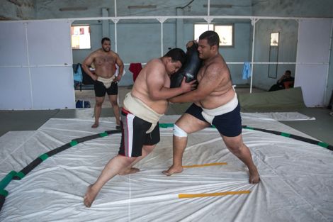 رياضيو "السومو" في مصر.. منجم ذهب يبحث عن مكتشف