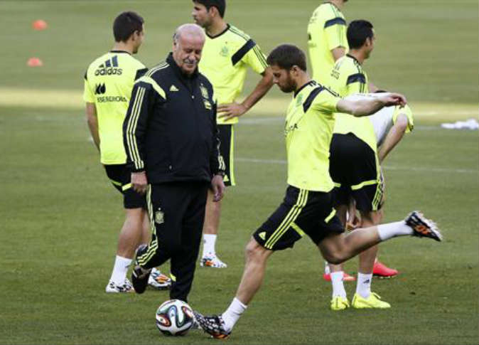 ديل بوسكي: ألونسو ترك ميراثا رائعا في المنتخب