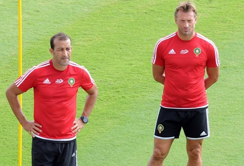 هيرفي رونار.. "الثعلب" الذي أعاد الروح لجسد منتخب بكى لاعبوه بعد الإقصاء
