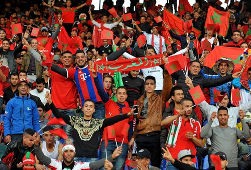 أيَادي المغاربة على قُلوبهم بعد الأداء غير المقنع للأسُود في "برُوفة" ما قبل الكَان‎