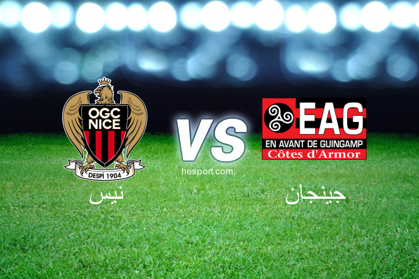 الدوري الفرنسي - الدرجة الأولى : نيس - جينجان