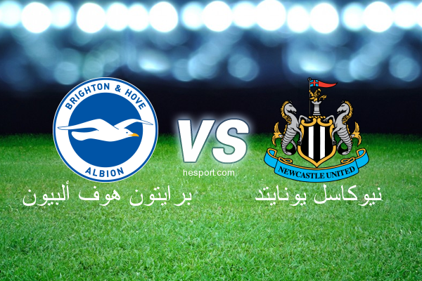 الدوري الإنجليزي الممتاز : برايتون هوف ألبيون - نيوكاسل يونايتد