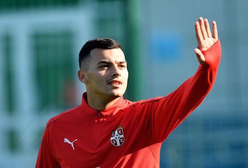 مارسيليا يضم الصربي نيمانيا رادونيتش