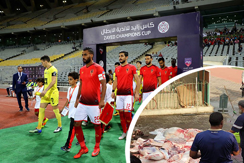 الأهلي يذبح عجلاً لفكّ نحس النتائج.. و"فايسبوكيون" يسخرون من نادي "القرن"