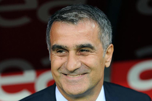 غونيش مدربا جديدا لمنتخب تركيا استعدادا للمونديال