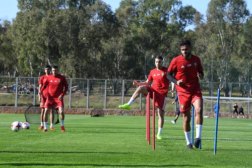 ثلاثي يغيب عن تدريبات اليوم الأول للأسود.. وبلهندة وزياش في "تواصل عن بعد"