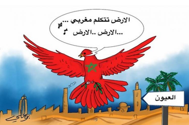 وزير رياضة مصر يعتذر رسمياً للمغرب بسبب بتر خريطة الصحراء