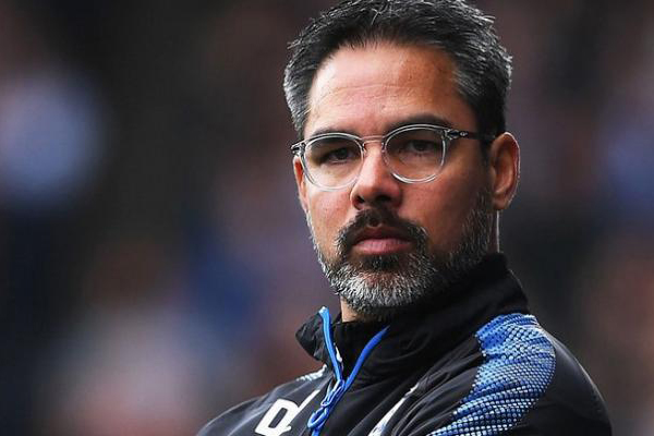 التعادل مع دوسلدورف لا يزعج مدرب شالكه