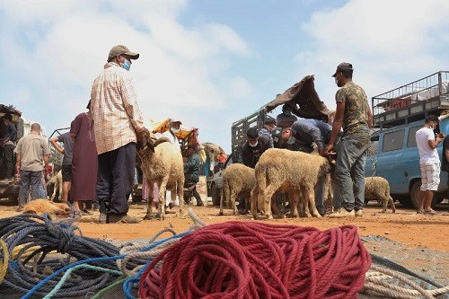 الأوقاف: عيد الأضحى يوم 10 يوليوز بالمغرب