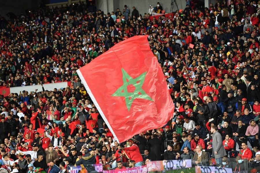 انطلاق عملية بيع تذاكر مباراة "الأسود" وبيرو