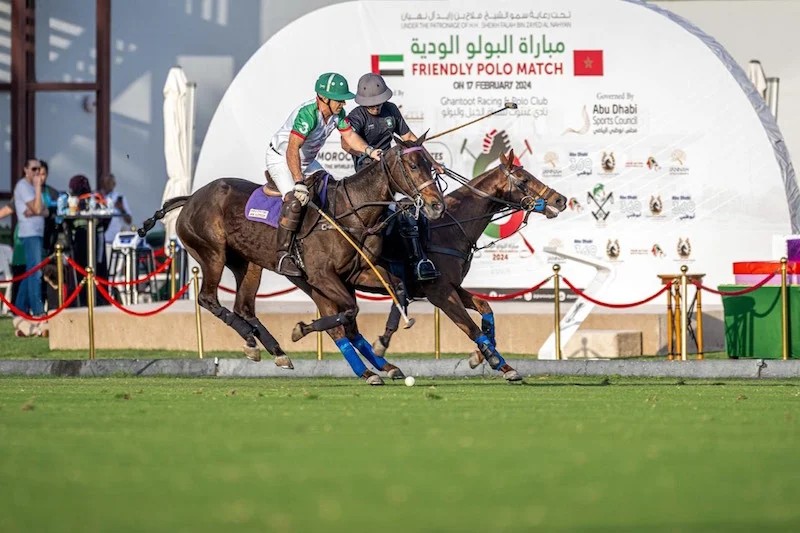 البولو يجمع مغاربة العالم وغنتوت الإماراتي