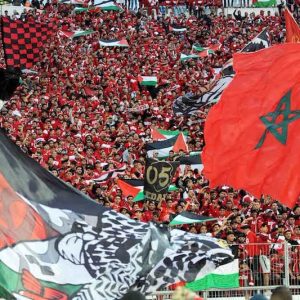 الوداد الرياضي يوزع بطائق الاشتراك