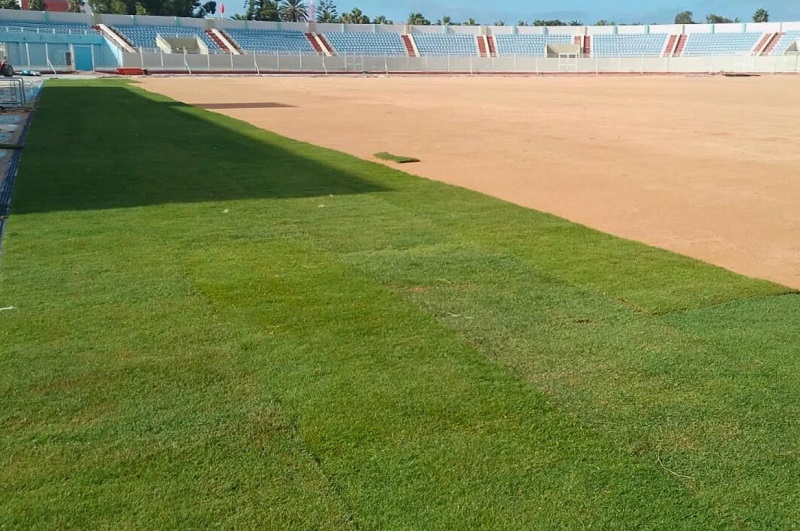 بداية تعشيب ملعب العبدي بالجديدة