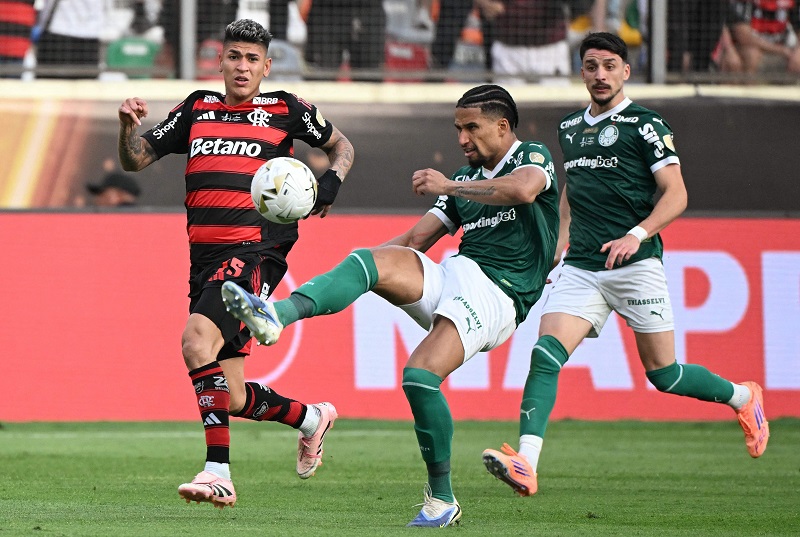 فلامينغو يهزم مواطنه بالميراس بهدف ويتوج بطلا لكأس ليبرتادوريس